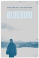 bluebird.jpg