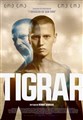tigrar.jpg